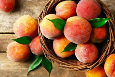 Pfirsichsorten: Die 20 beliebtesten weiß- & gelbfleischigen Sorten