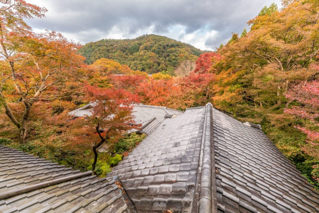Herbstliche Laubfärbung in Japan
