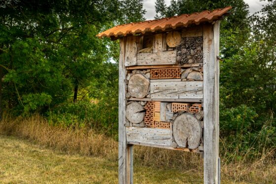 Nisthilfen für Wildbienen: Tipps für den Garten