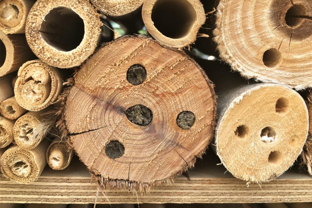 Insektenhotel mit Holzbestandteilen