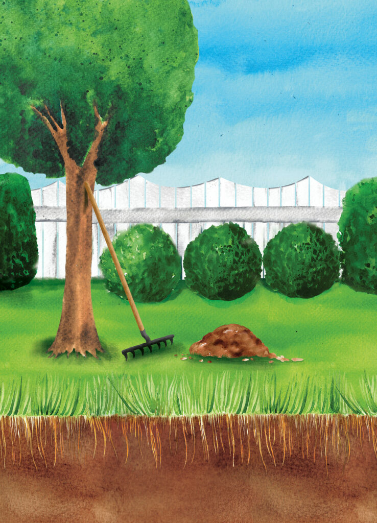 Plantura Rasendünger Cover