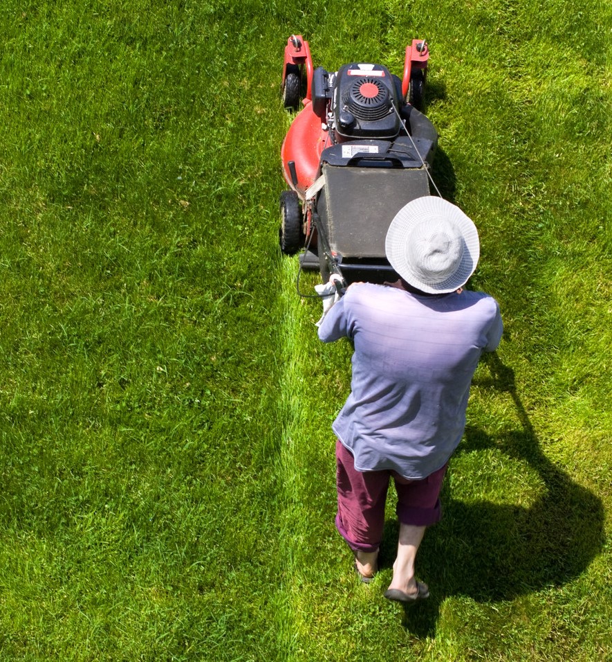 Rasen im Garten gemäht