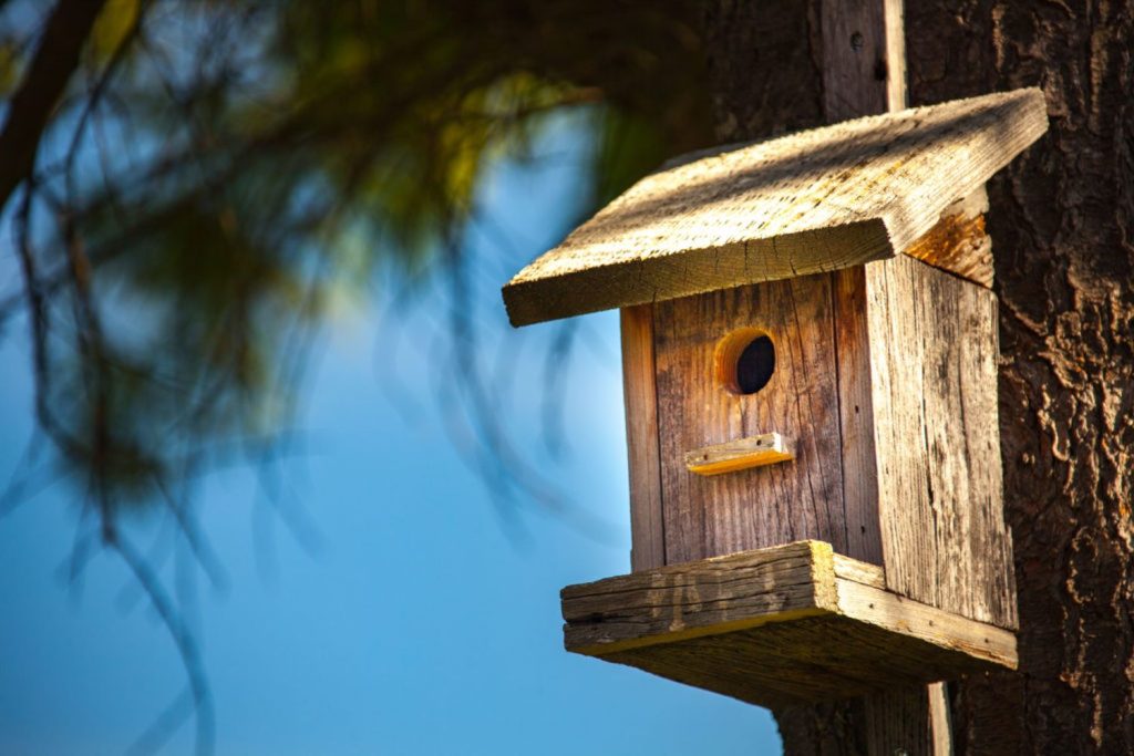 Vogelhaus aus Holz an Baum hängend