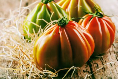 Ochsenherz-Tomate: Tipps zum Pflanzen & Pflegen der Fleischtomate