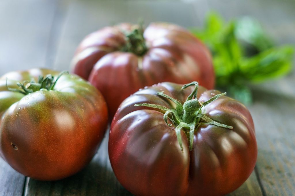 Black-Brandywine-Tomaten geerntet