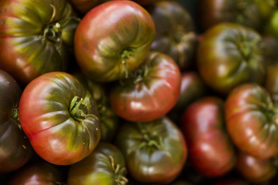 Cherokee Purple Tomaten