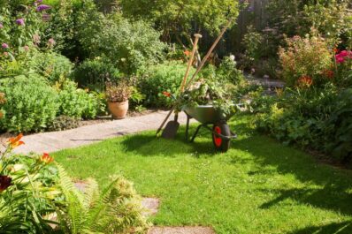 Gartenarbeit im Juli: Alles auf einen Blick!