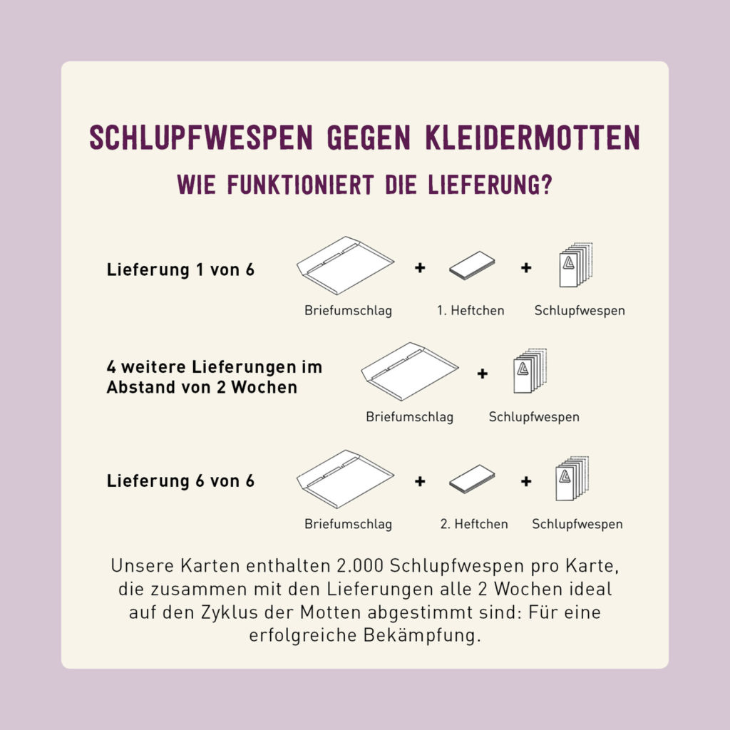 Lieferung der Plantura Schlupfwespen gegen Kleidermotten