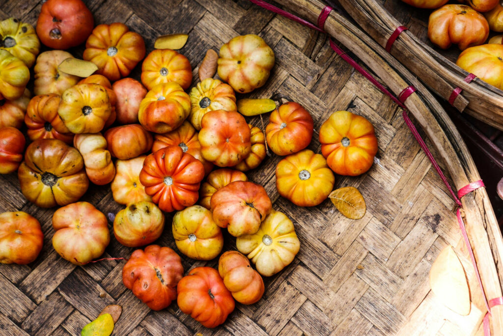 Tomaten Sorte Big Rainbow