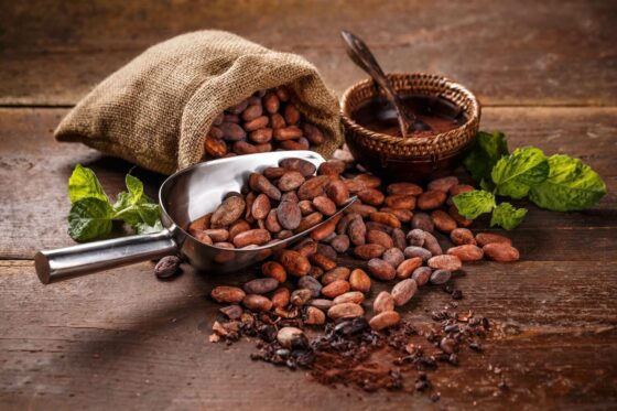 Kakaomotten: Aussehen & Tipps zur Bekämpfung