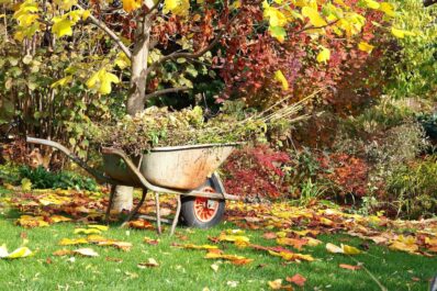 Gartenarbeit im Oktober: Alles auf einen Blick!