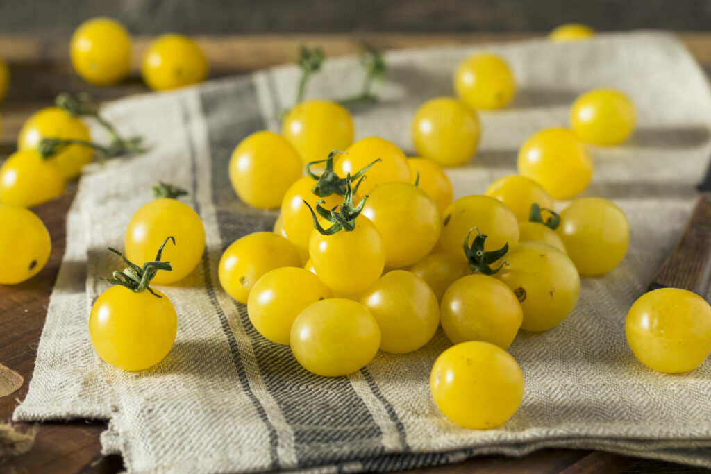 Die Gelbe Tomatensorte Bianca