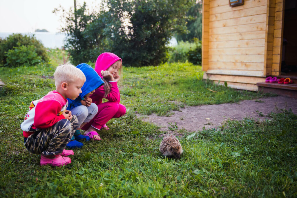 Kinder beobachten Igel