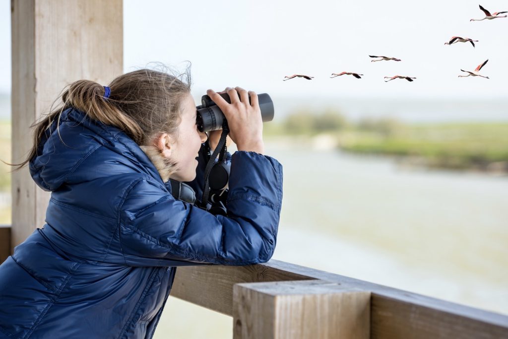 Kind bei Vogelbeobachtung