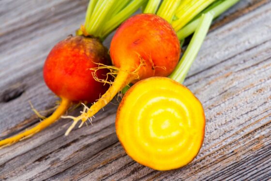 Gelbe Bete: Anbau & Pflege im Garten