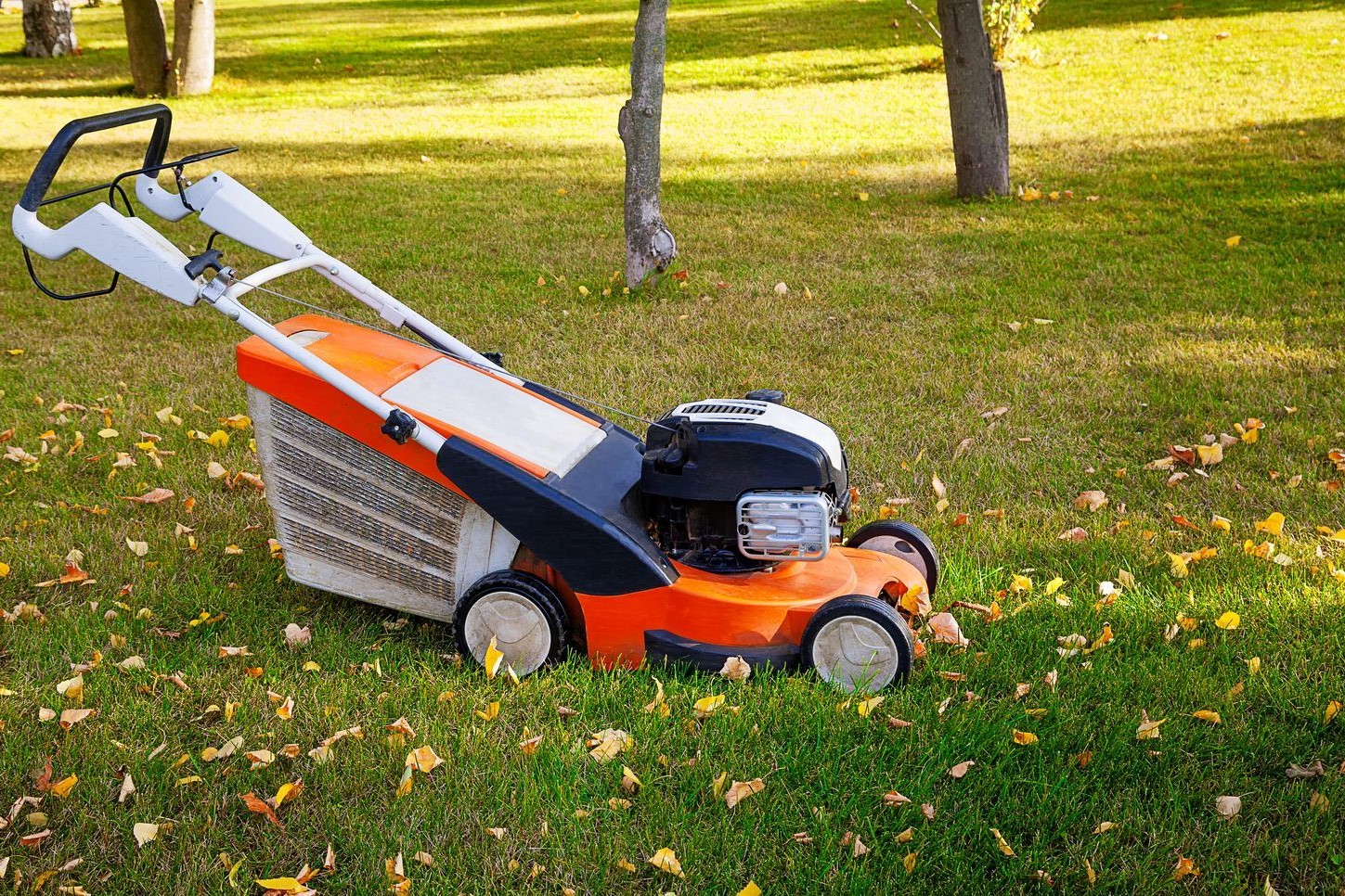 Gartenarbeit im November Tipps für den Herbst Plantura