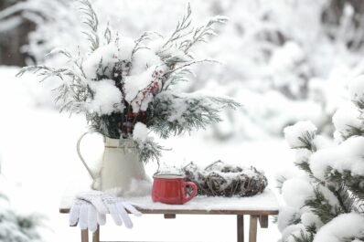 Gartenarbeit im Dezember: Alles auf einen Blick!