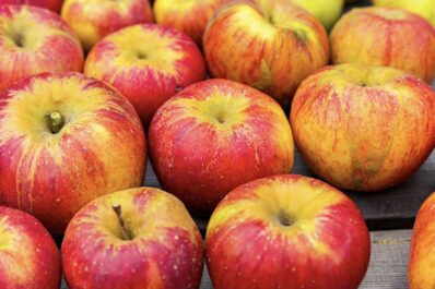 Apfel Topaz: Geschmack, Standort & Erntezeit
