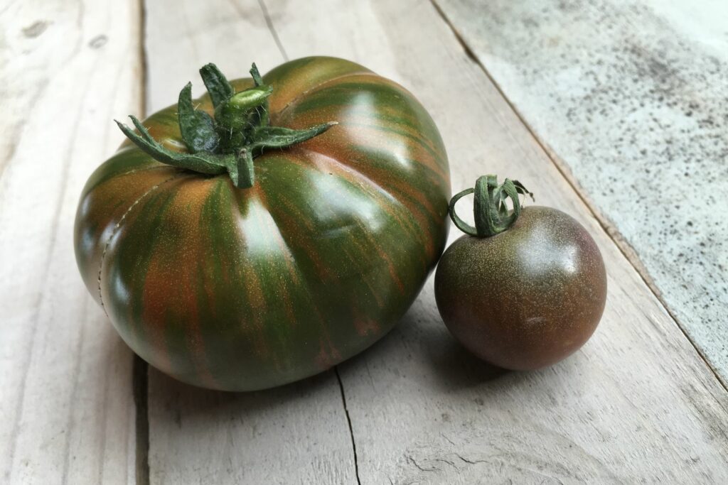 Chocolate Stripes und Chocolate Cherry Tomaten