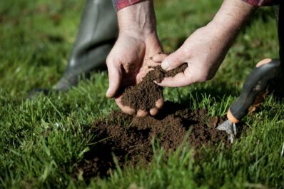 Bodenarten: Lehmboden, Tonboden & Co. selbst bestimmen