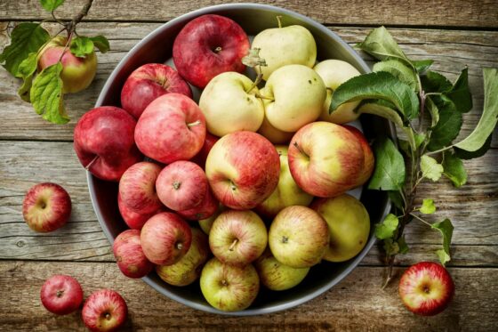 Die besten Apfelsorten für den Hausgarten