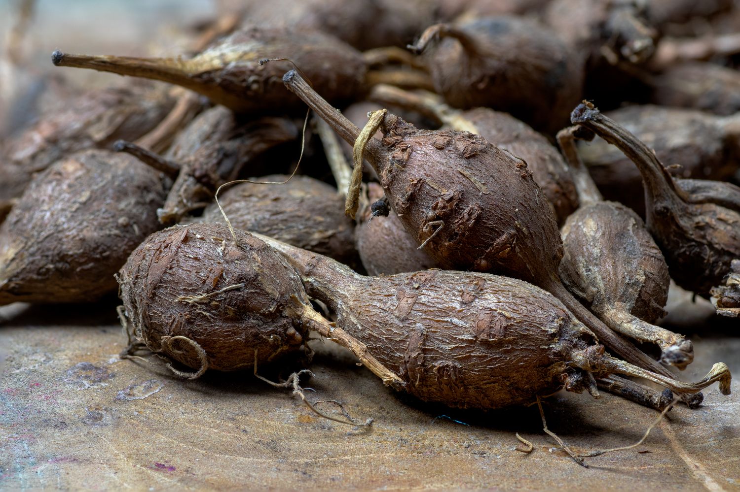 Dinkel-Risotto mit Mangold