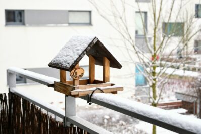 Vögel füttern auf dem Balkon: Was zu beachten ist