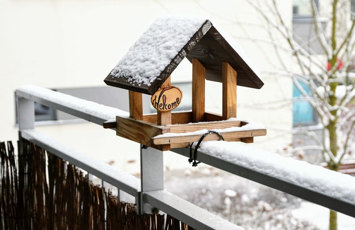 Meisenknödelhalter Wildvogel-Futterstation Vogelfutterstelle