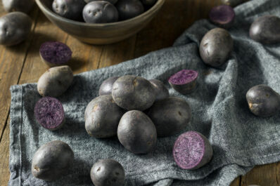‘Blauer Schwede’-Kartoffel: Anbau & Ernte der blauen Kartoffelsorte