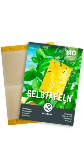 Plantura Gelbtafeln