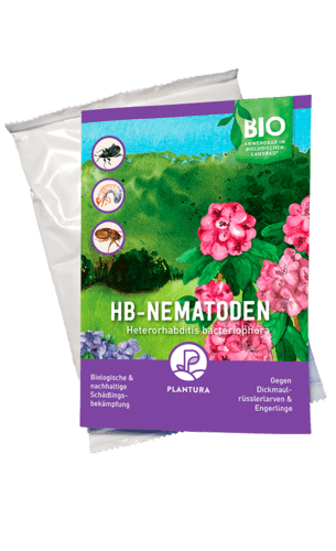 Plantura HB-Nematoden