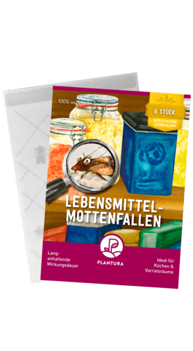 Plantura Lebensmittel-Mottenfallen