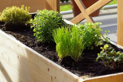 Hochbeet auf dem Balkon: Bauen & Befüllen