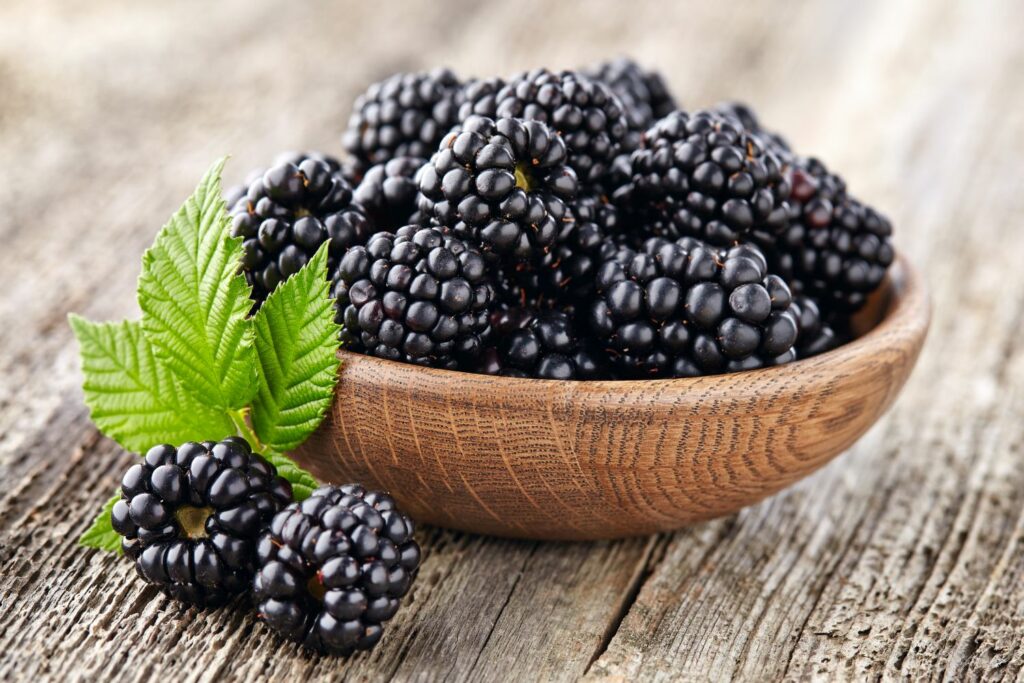 Brombeeren