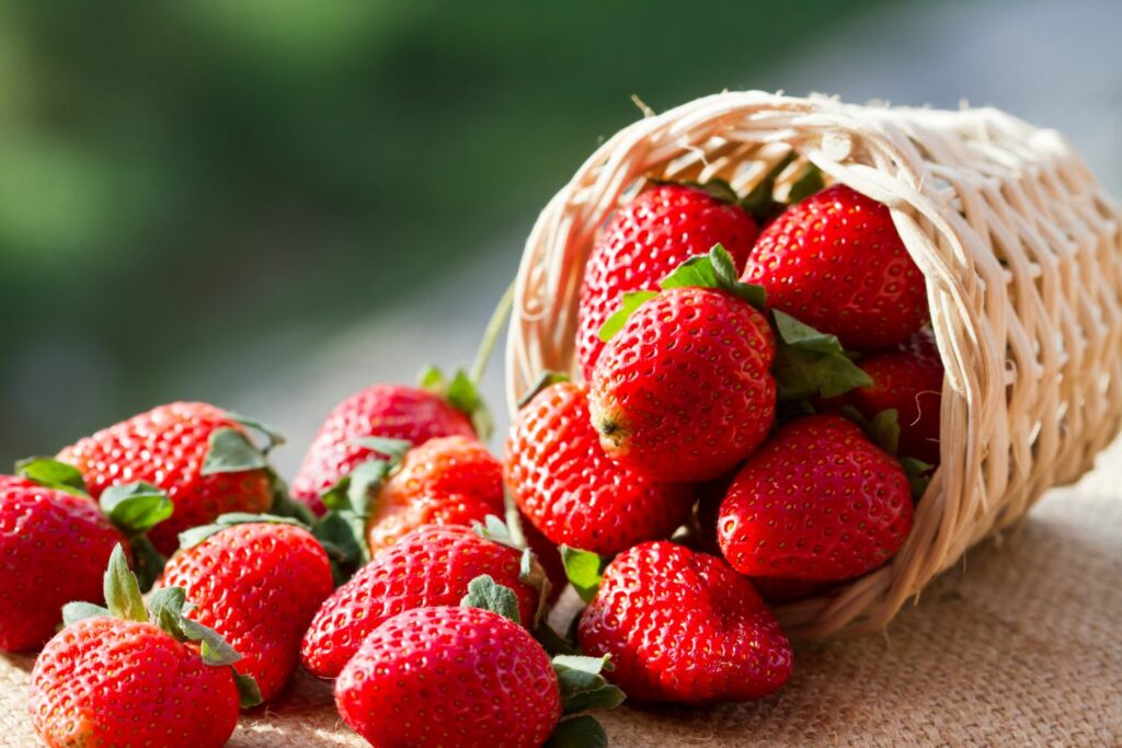 Erdbeeren
