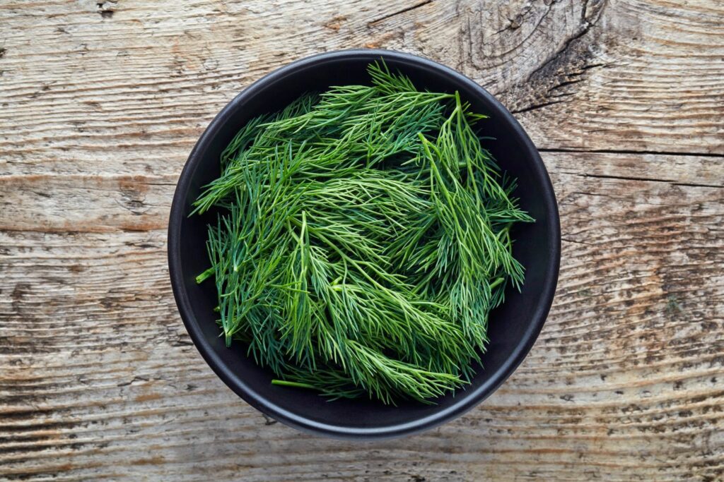 Schüssel mit frischem Dill