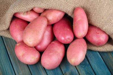 Rote Kartoffeln: Sorten, Anbau & Verwendung von rotschaligen Kartoffeln