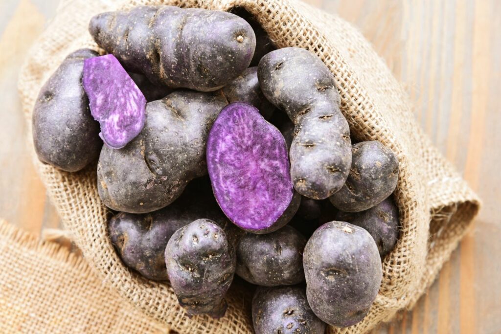 Violette Spätkartoffeln
