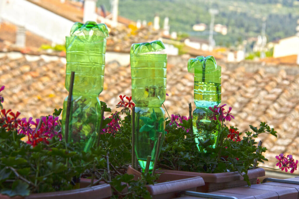 Bewässerung mit Plastikflaschen