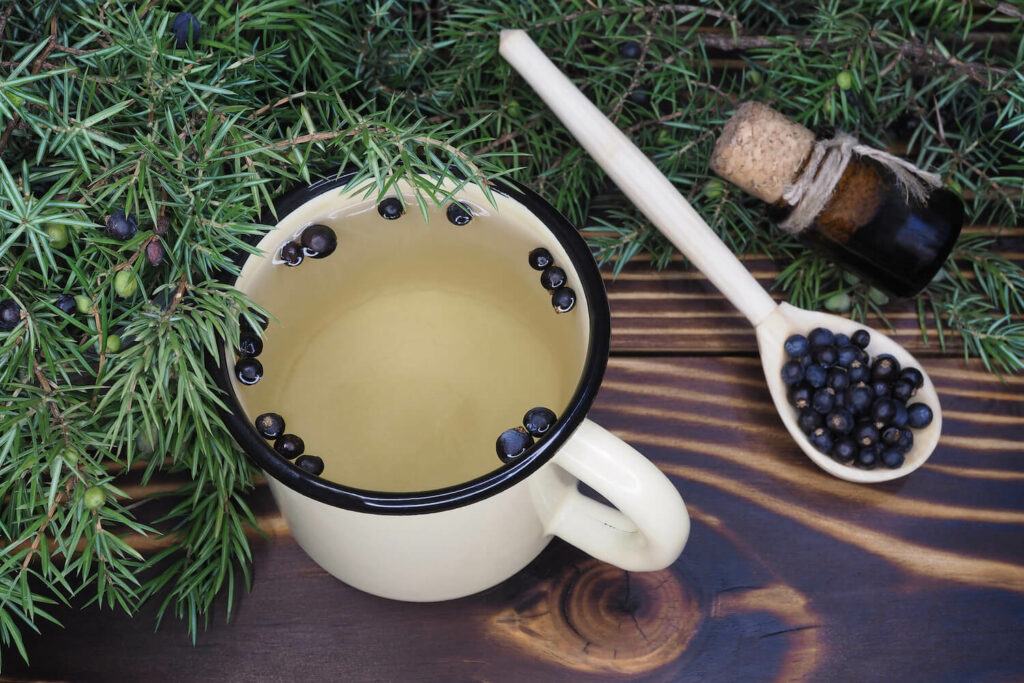 Tee aus Wacholder-Beeren