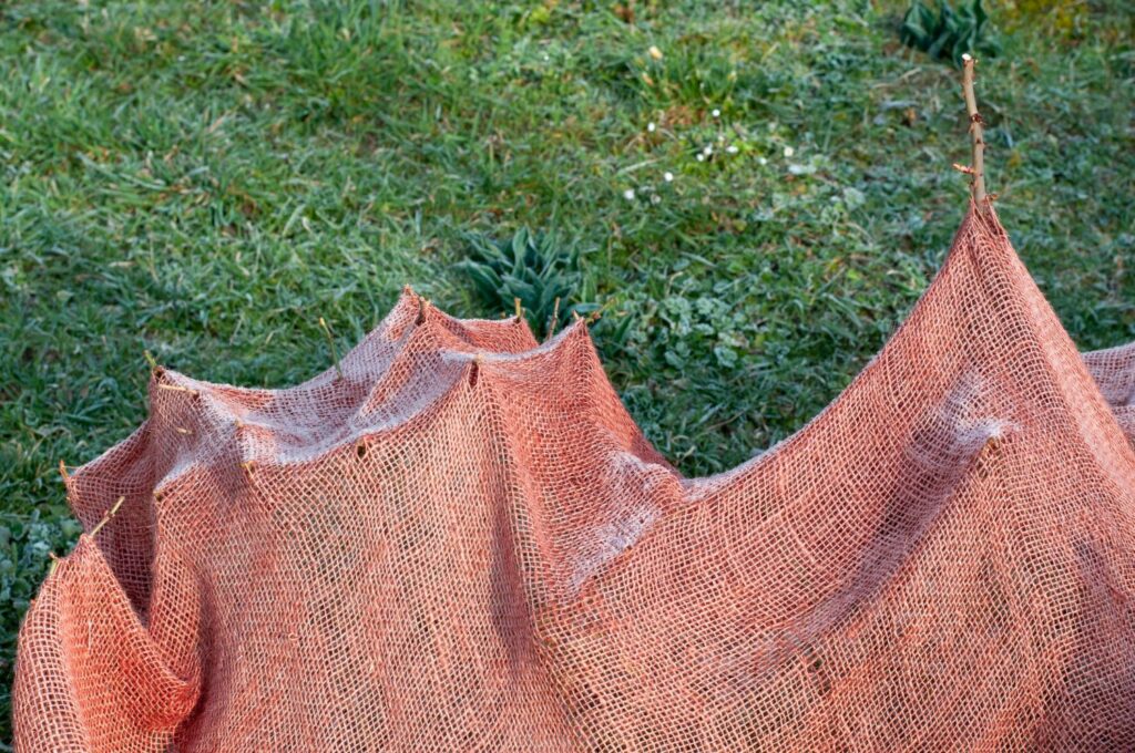 Jute als Frostschutz