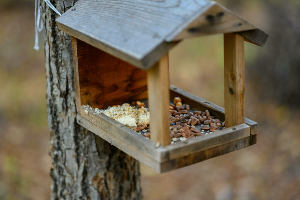sauberes Vogelhäuschen