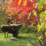 Garten winterfest machen: Checkliste & hilfreiche Tipps