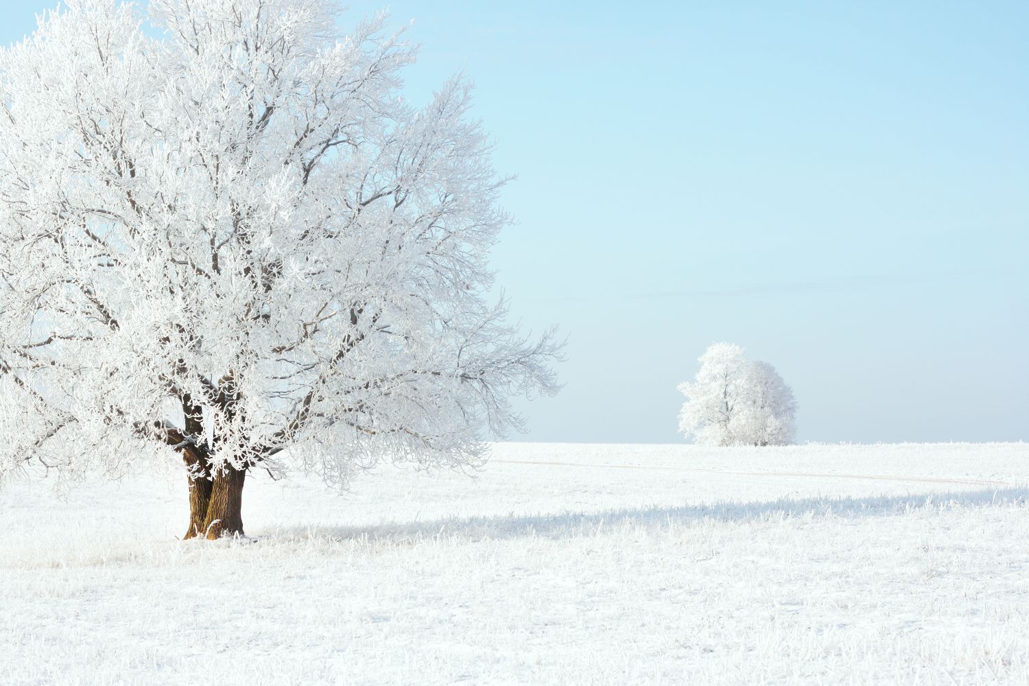 Damit ich dich nicht kalt lasse: Tipps gegen Frost im Winter