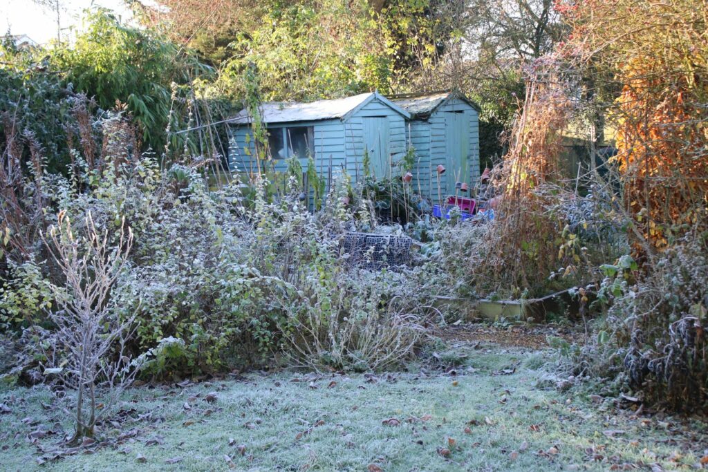 Frost im Garten