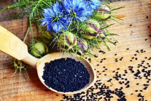 Schwarzkümmel: Pflanzen, Pflege & Wirkung der Nigella sativa