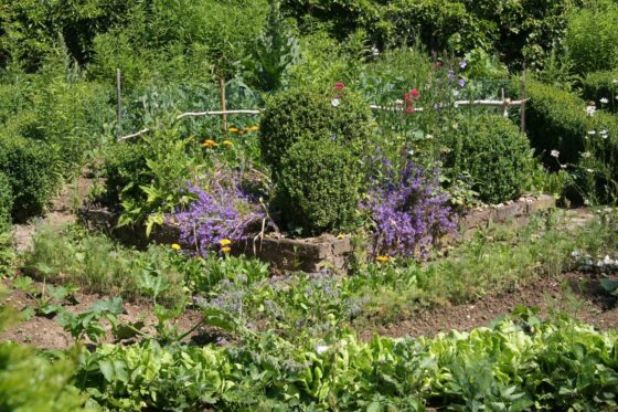 Permakultur im Garten: So legt man eine Dauerkultur an