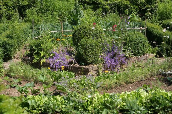 Permakultur im Garten Tipps zum Anlegen einer Dauerkultur