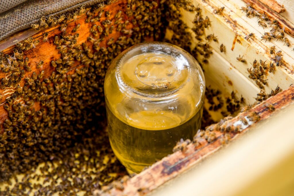 Glas mit Zuckerwasser im Bienenstock
