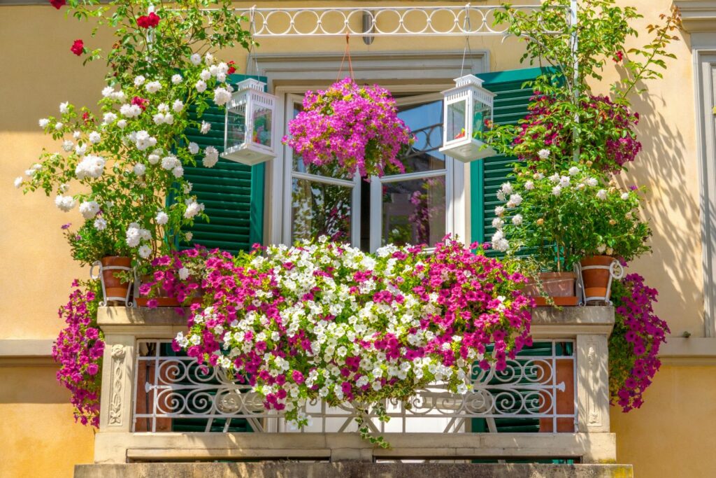 Balkon mit bunten Hängepflanzen